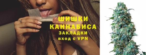 молекула духа Липки