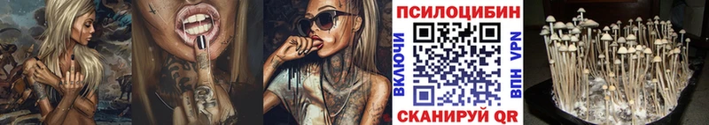 ссылка на мегу рабочий сайт  Орлов  Галлюциногенные грибы мицелий 